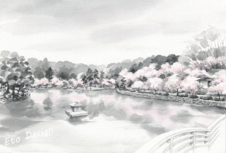 桜　薬師池公園